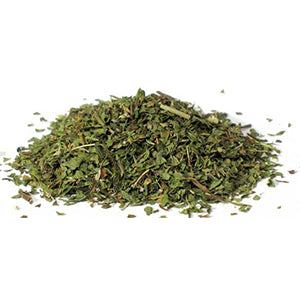 Spearmint cut (Mentha spicata) - Wiccan Place