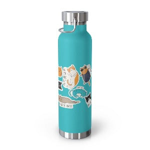 Everyday is Cat Day Insulated Thermos Bottle 22oz