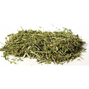 Scullcap cut (Scutellaria laterifolia) - Wiccan Place