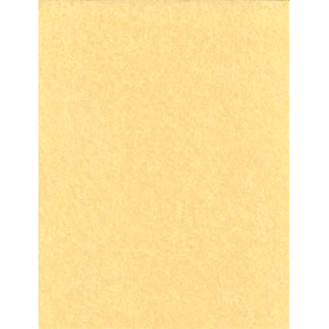 Light Parchment 500 Pack (8 1/2" x 11") - Wiccan Place